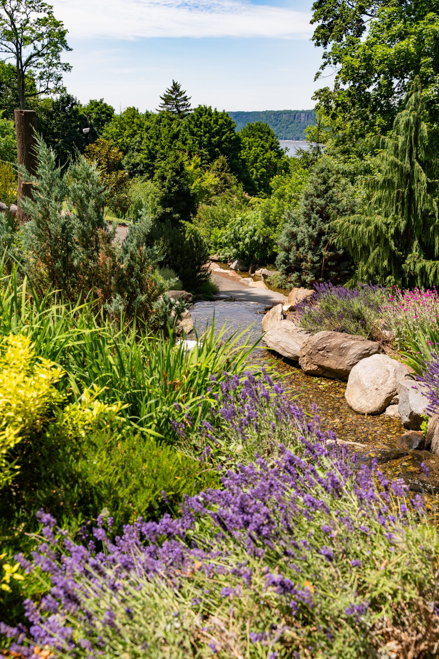 Transform Bare Garden Areas With River Rock Landscaping Ideas