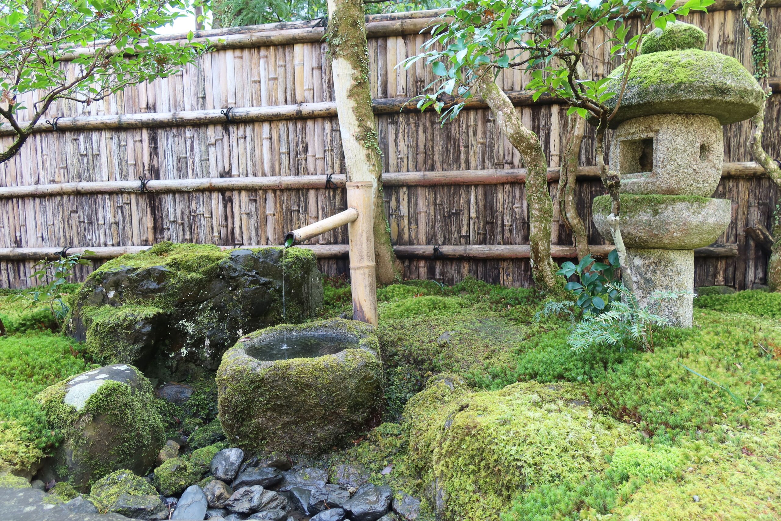 Ways To Use Moss In The Garden, From Stone Paths To Shady Corners