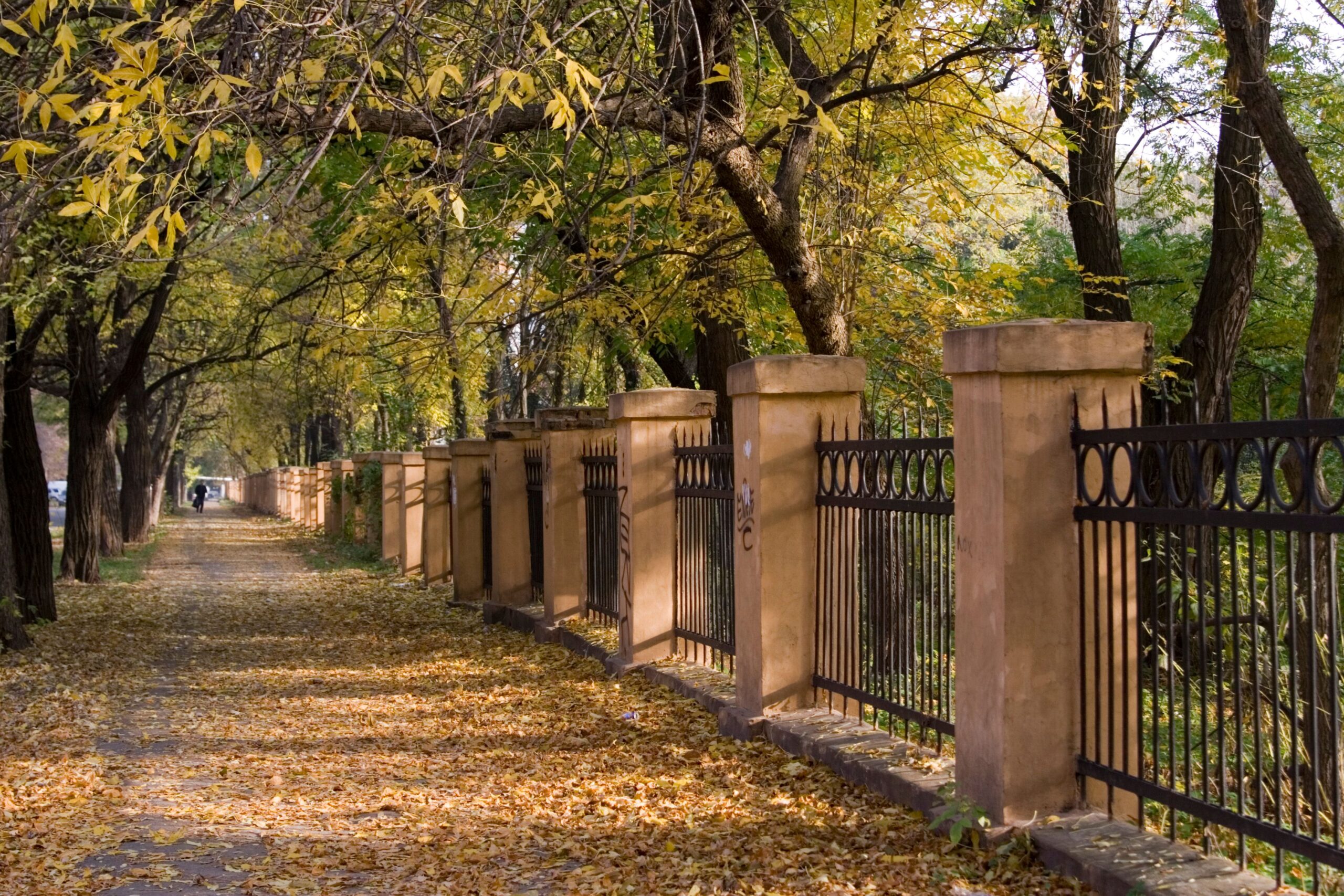 8 Concrete Fence Designs, From Horizontal Slats To Poured Concrete